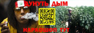ГАЛЛЮЦИНОГЕННЫЕ ГРИБЫ Вязьма