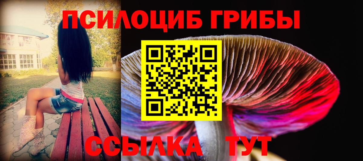 Каспийск  Галлюциногенные грибы Psilocybe  Псилоцибиновые грибы Psilocybe  Вход с VPN 